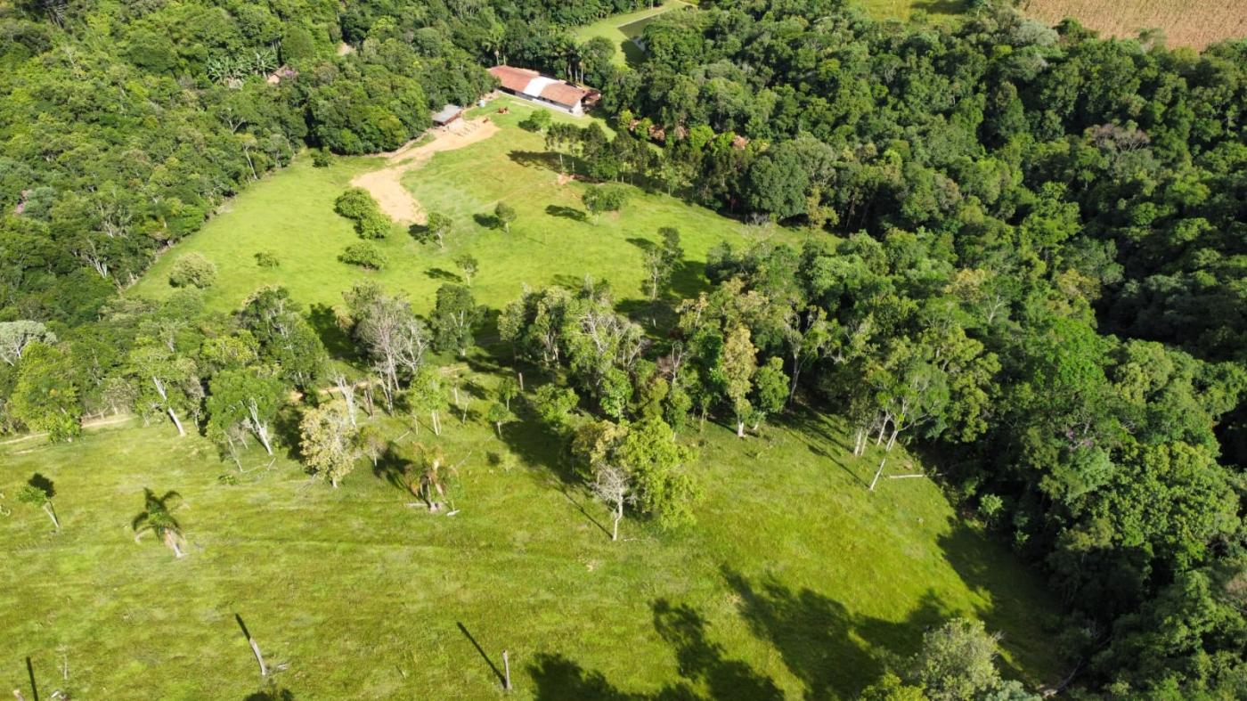 Chácara à venda com 4 quartos, 108278m² - Foto 4