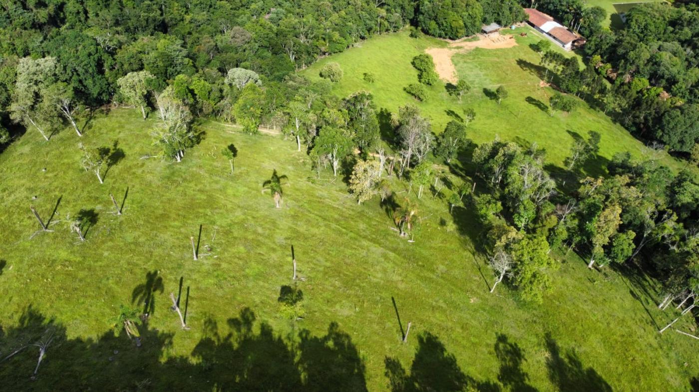 Chácara à venda com 4 quartos, 108278m² - Foto 7